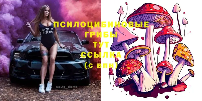 OMG как войти  Павловск  Псилоцибиновые грибы Magic Shrooms 